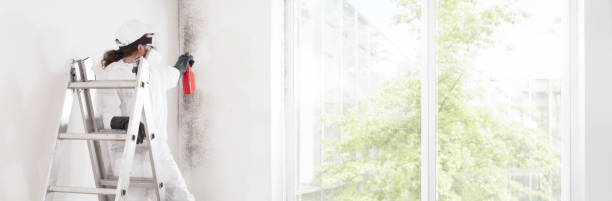 Best Residential Mold Inspection & Testing  in Avon Lake, OH