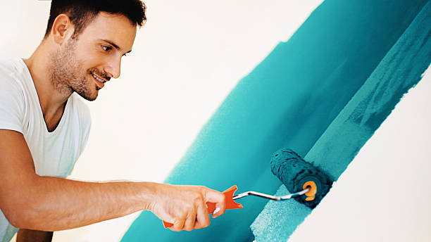 Best Comprehensive Air Testing for Mold Contaminants  in Avon Lake, OH